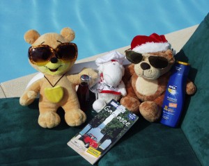 BussyBär, Mopple the Whale (ein Schafsbär) und Stanislaus Nikobär geniessen die Sonne und den Pool ;-) Wir sagen - so lässt sich ein Urlaub doch geniessen, oder ?